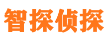 巫山市私人侦探